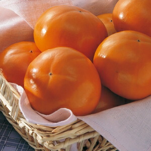 ふるさと納税 鳥取県 南部町 富有柿（進物用6.5kg箱）11月出荷予定＜数量限定＞ ふるさと納税 鳥取県 南部町 富有柿（進物用6.5kg箱）11月出荷