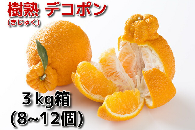 蒲郡産温室デコポン３kg箱<br>【愛知県の旬の果物】<br>樹熟でこぽん【進物に最適】<br>不知火しらぬい<br>４月上～中旬より順次発送