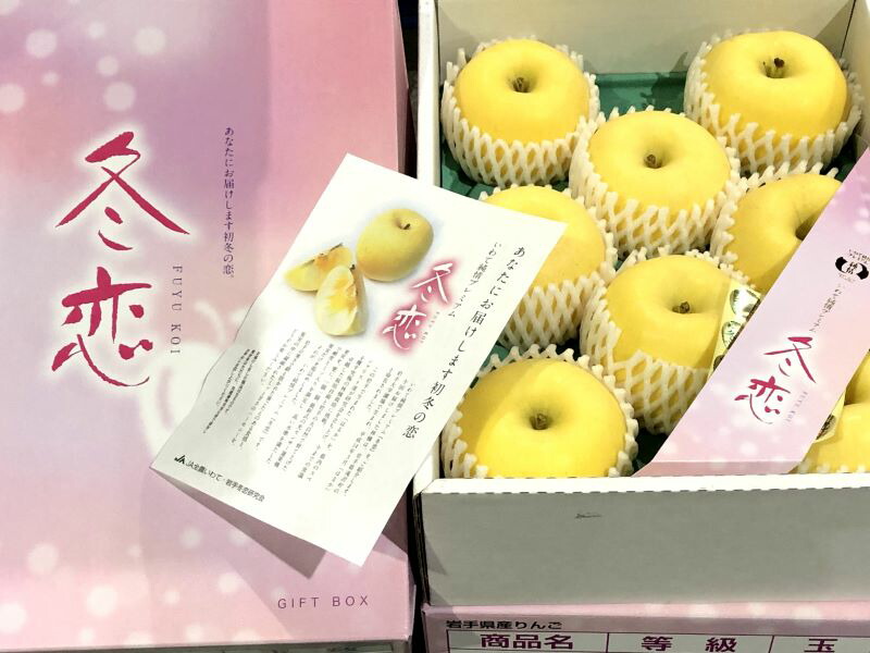 楽天市場】いわて純情りんご「はるか」【冬恋りんご】産地進物箱２.５kg(Ｌ寸１０玉)秀品１２月中旬ごろより順次発送予定【岩手県冬恋リンゴ  取り寄せ】【お歳暮 贈り物】【同梱不可】 : フルーツまき