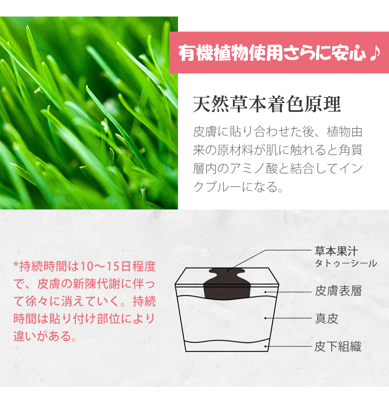 素晴らしい外見 タトゥーシール 10枚セット 刺青シール 草本果汁 2週間消えない 果汁入りインクボックス ジャグアタトゥー 文字 和柄 花 星 薔薇 和彫り ハート 蝶々 翼 トライバル 鳥 バラ シンプル 長持ち 防水 黒 腕 足 胸 背中 肩 フェイス 韓国 おしゃれ