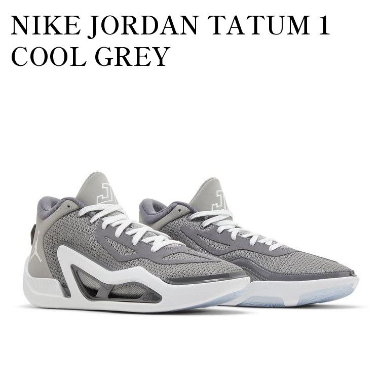 NIKE、JORDAN、テイタム1 PF、28.5センチ Jordan Tatum 1 PF Old School for Sale | Authenticity