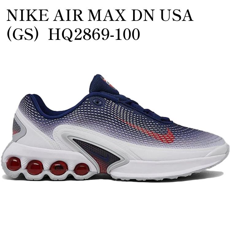 【海外限定 お取り寄せ商品】NIKE AIR MAX DN USA (GS) HQ2869-100 メンズ レディース 人気 おしゃれ