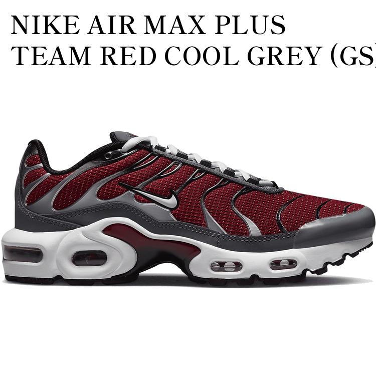 【海外限定 お取り寄せ商品】NIKE AIR MAX PLUS TEAM RED COOL GREY (GS) CD0609-602 メンズ レディース 人気 おしゃれ|RAISE