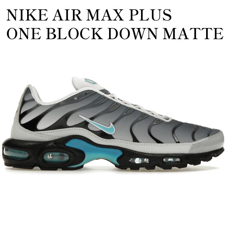 【海外限定 お取り寄せ商品】NIKE AIR MAX PLUS ONE BLOCK DOWN MATTE SILVER FZ3308-001 メンズ レディース 人気 おしゃれ|RAISE