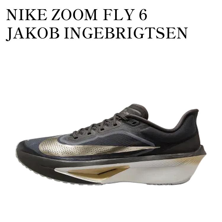 楽天市場】ナイキ ズーム フライ 6 NIKE ZOOM FLY 6 