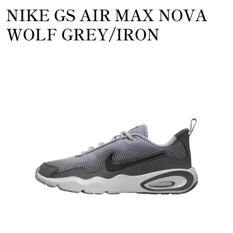 【お取り寄せ商品】NIKE GS AIR MAX NOVA WOLF GREY/IRON GREY/BLACK ナイキ GS エアマックス ノヴァ ウルフグレー/アイアングレー/ブラック (キッズ) FN4446-004 メンズ レディース 人気 おしゃれ|RAISE