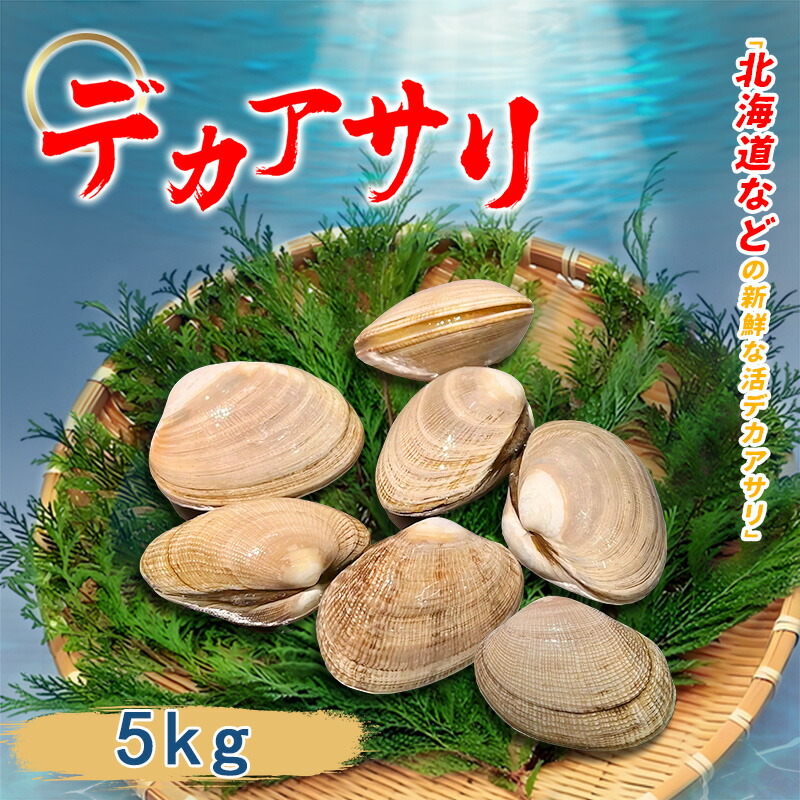 あさり 楽天市場】マルハニチロ 殻付あさり 1kg (Lサイズ 80/100サイズ IQF