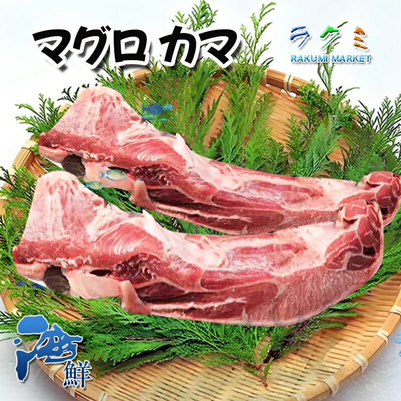 【楽天市場】期間限定ポイント3倍★ 極上絶品 カマトロ マグロ カマ 1本 約500g まぐろかま 塩焼き ねぎま 鍋:ラクミマーケット