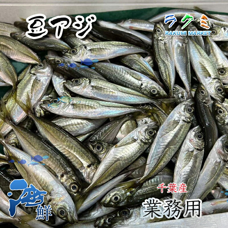 業務用千葉産 豆アジ  約５～６kg（1尾 約30-60g 10センチぐらい)   鯵 あじ マメアジ まめあじ 唐揚げ 南蛮あじ 甘酢漬