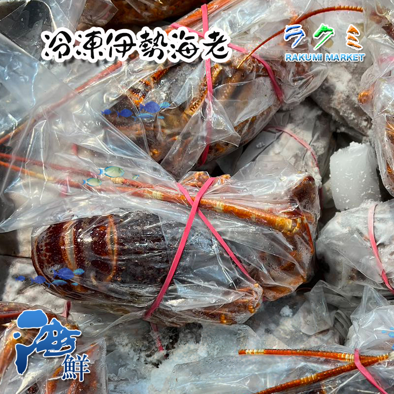 高級素材 冷凍伊勢海老   5匹(1匹 約200g) 伊勢エビ えび 天ぷら 鬼殻焼き  塩ゆで
