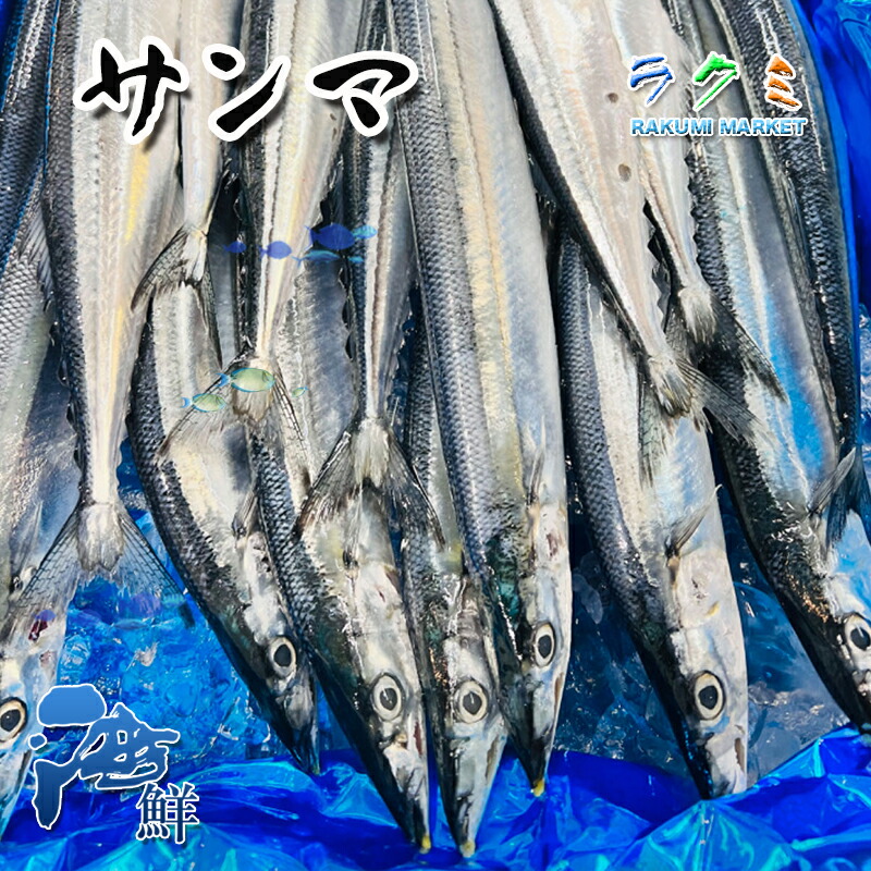 秋刀魚 ５尾（１尾約150〜２００g） さんま サンマ 食品、飲料
