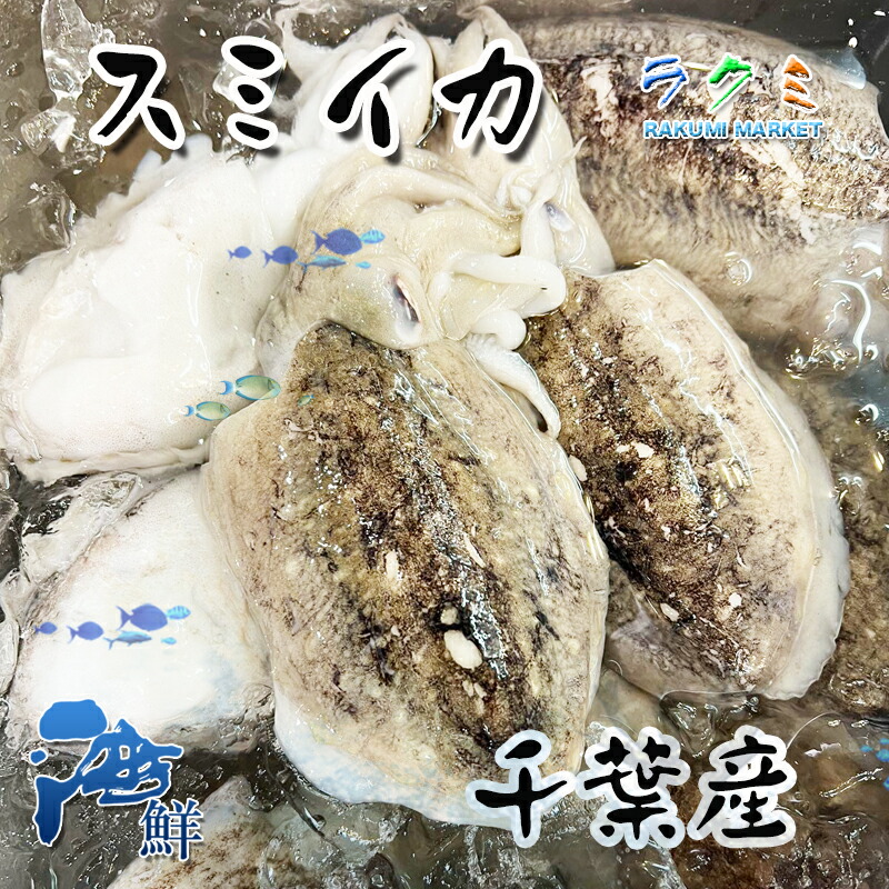 楽天市場】冷凍スルメイカ １cs 8kg(23~25杯) 北海道・青森産 するめいか 烏賊 醤油焼き 醤油焼き 唐揚げ : ラクミマーケット