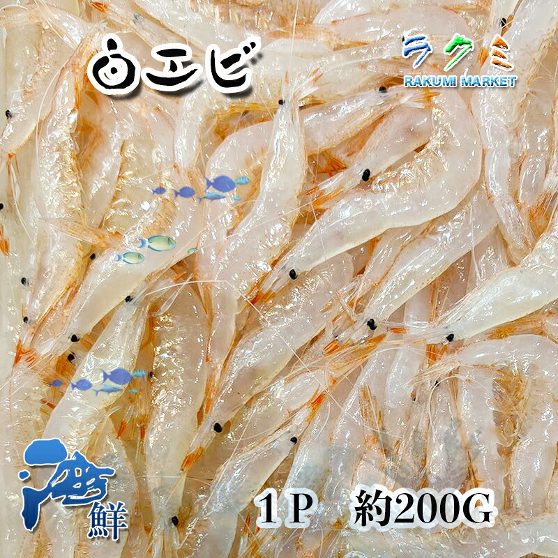 【楽天市場】白エビ 1p 約200g しろえび 富山県 宝石エビ かき揚げ 釜揚げ 素干し 中華炒め：ラクミマーケット