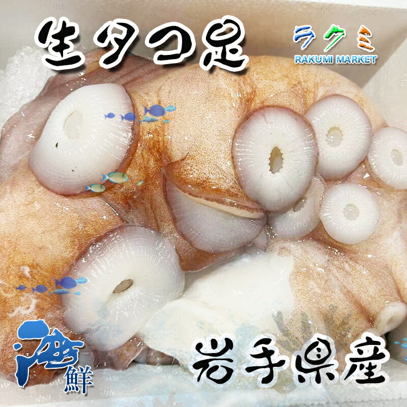 生タコ足 皮付き  約３kg 約３本  岩手県産 タコ たこ 蛸 お刺身 バター焼き 寿司ネタ カルパッチョ