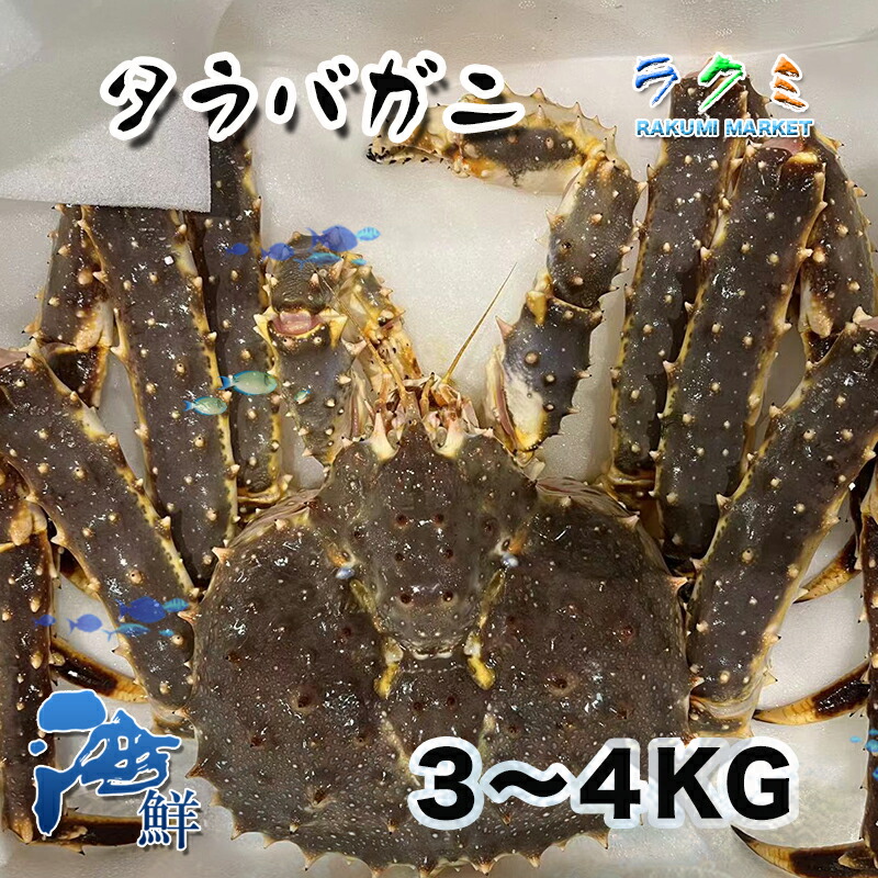 楽天市場】生タコ足 皮付き 約５kg 約５本 岩手県産 タコ たこ 蛸 お