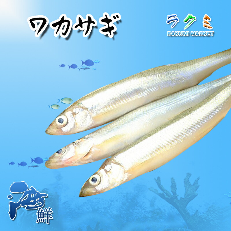 楽天市場】ワカサギ 1kg わかさぎ 若鷺 公魚 天ぷら フライ かき揚げ