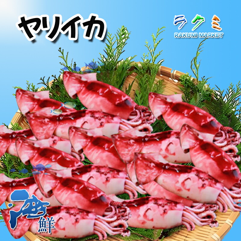 業務用 ボイルヤリイカ 5kg ぼいるやりいか 炒め 煮物 酢味噌和え サラダ 醤油和え 甘辛煮 やりいか｜ラクミマーケット