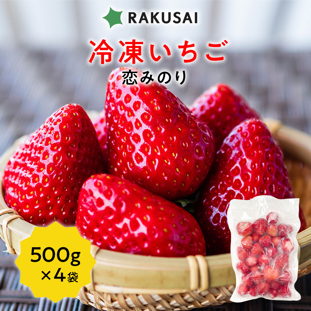 冷凍苺いちご　10kg(500g×20袋）佐賀県産　スムージージャムジュレ 冷凍苺いちご 10kg(500g×20袋）佐賀県産 スムージージャムジュレ
