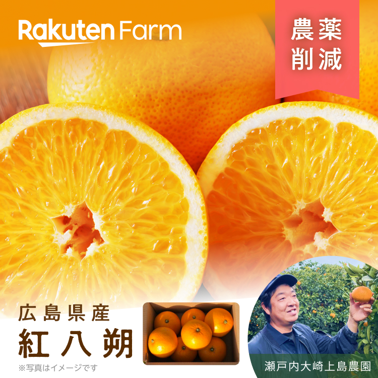 楽天市場】【発送中】広島県産紅八朔(べにはっさく) 約2kgまたは5kg