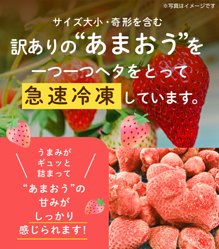 市場 冷凍 訳ありあまおう 1.5kg