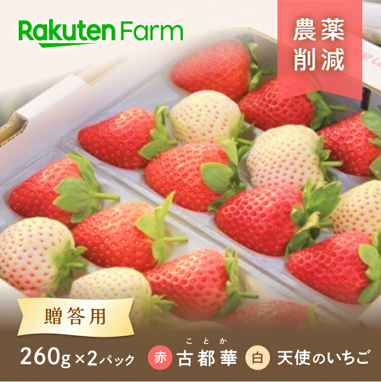 【受付は6/1まで】紅白いちごセット”古都華＆天使のいちご・・” 2パック <br>★1月上旬～5月下旬頃お届け予定★ <br>赤白二色！奈良県産苺の食べ比べができる詰め合わせ <br>農薬・化学肥料使用量50％削減の特別栽培 奈良県オリジナル品種 <br>OdaMaki農園 こだわり農家直送