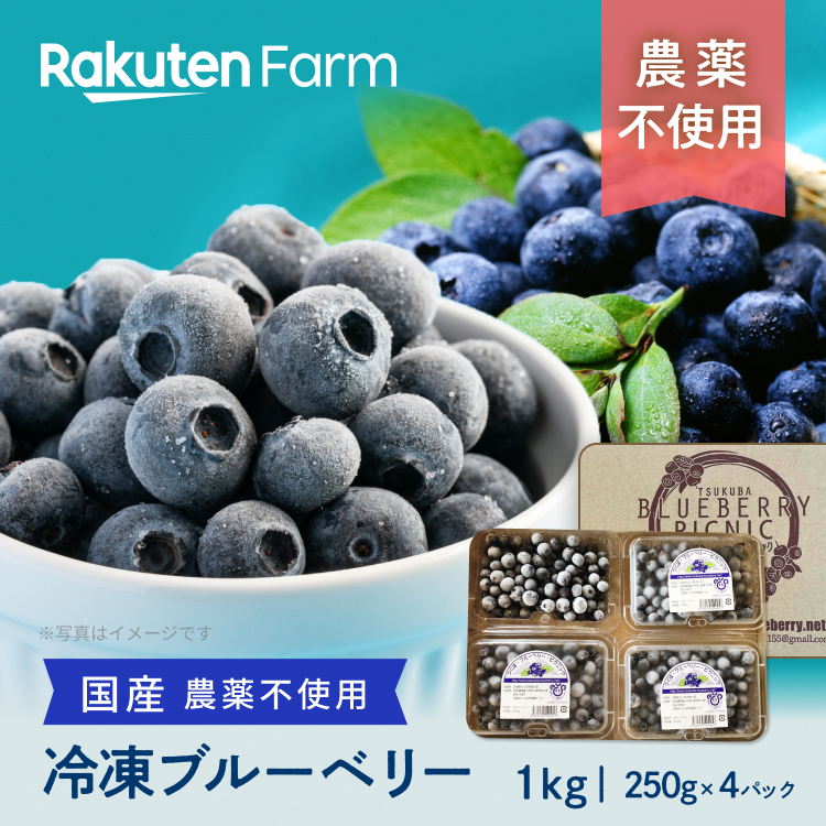 冷凍便農園直送ブルーベリーミックス１ｋｇ - 果物