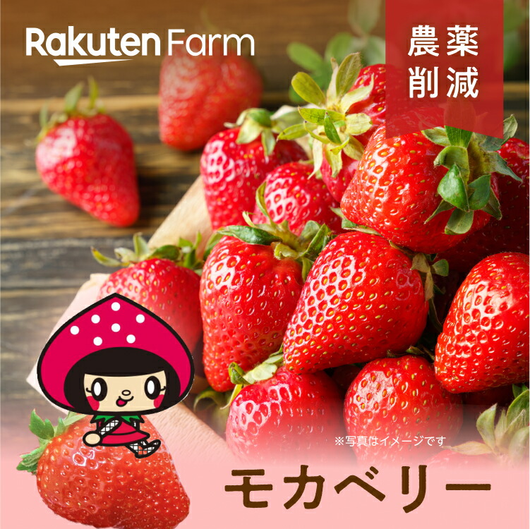 【6,180円→5,580円の600円OFF】完熟苺モカベリー 2パック/家庭用4パックから選べる 三重県産いちご <br>こだわり農家直送　はなだふぁーむ <br>※北海道・沖縄・離島地域配送不可　※価格改定日：5/9 0:00