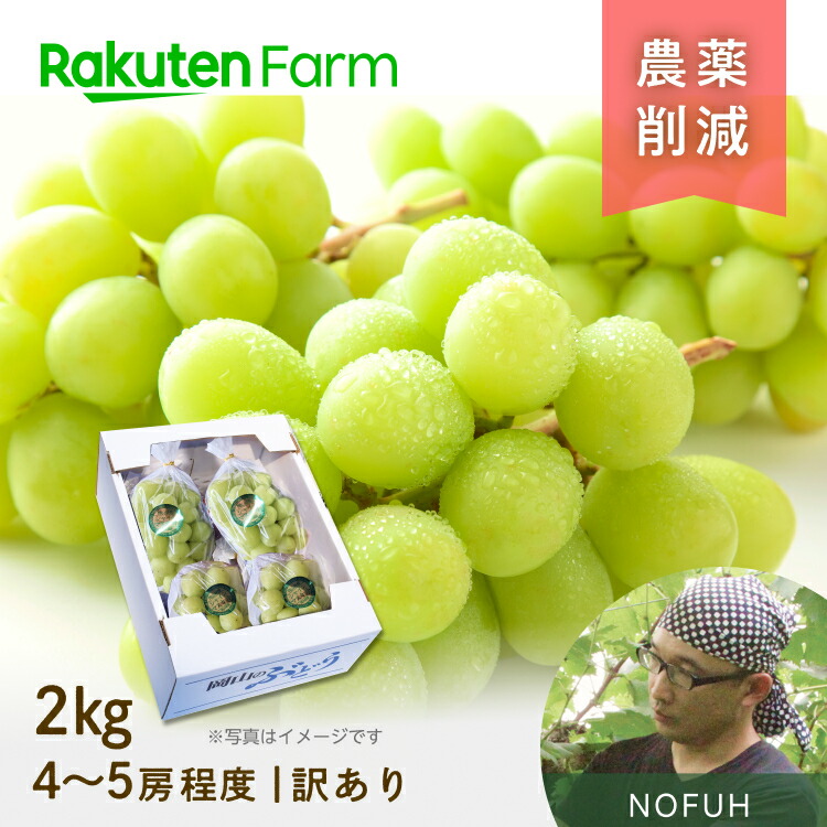 楽天市場】【再入荷確認待ち】2種から選べる！岡山県産訳あり黒ぶどう 2kg(4～5房程度) ☆あづましずくは8月上旬～中旬頃・オーロラブラックは8月下旬～9月上旬頃お届け予定☆  農薬使用量50％削減・化学肥料不使用 合同会社のふう こだわり農家直送 : 楽天ファーム