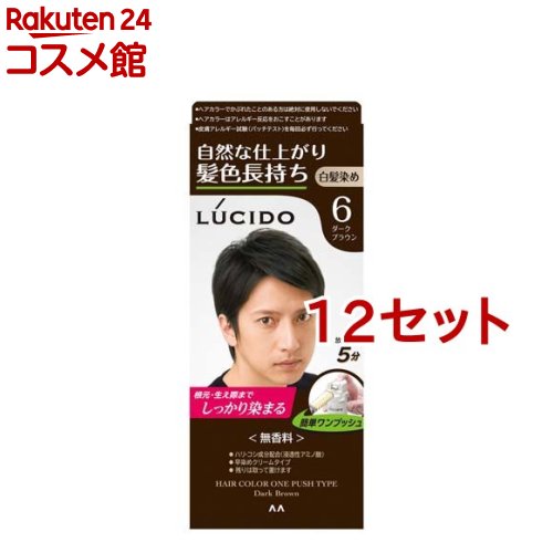 ルシード ワンプッシュケアカラー 6 ダークブラウン(50g+50g*12セット)【ルシード(LUCIDO)】|24 コスメ館