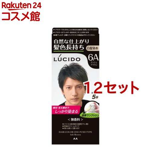ルシード ワンプッシュケアカラー アッシュブラウン(50g+50g*12仕かける)【ルシード(LUCIDO)】 白髪染め-美容・コスメ・香水-全体染め用