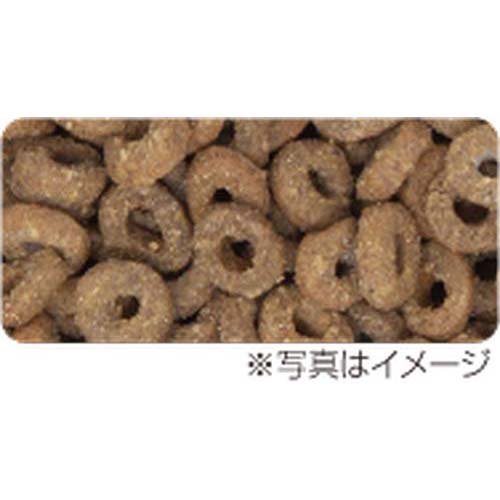 プロステージフォーミュラドッグマグロシニア