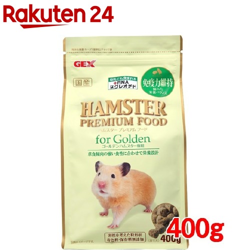ハムスター ゴールデン