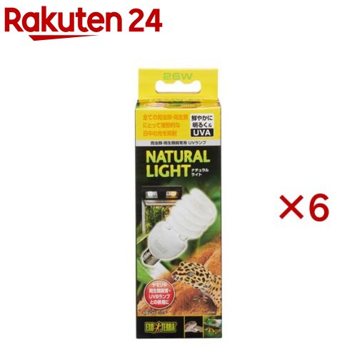 エキゾテラ ナチュラルライト 26W(6セット)【エキゾテラ】｜24