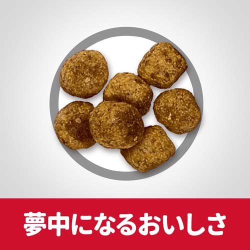 【定期購入】ドッグフード アダルトライト 小粒 1歳以上 チキン 成犬 肥満(12kg)【サイエンスダイエット】[ドッグフード]