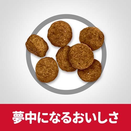 【定期購入】ドッグフード シニア 小粒 7歳以上 チキン 高齢犬(12kg)【サイエンスダイエット】[ドッグフード]