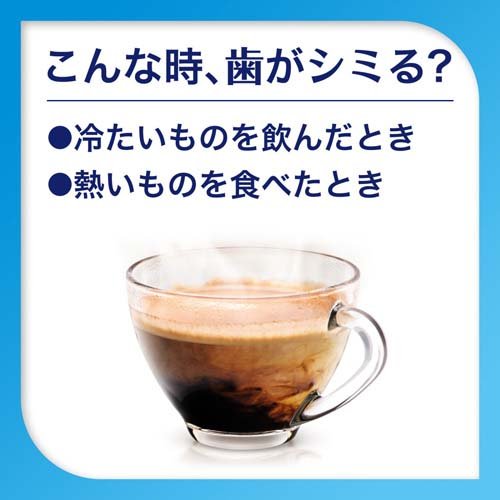 楽天市場 薬用シュミテクト デイリーケア 高濃度フッ素配合 知覚過敏予防歯磨き粉 90g シュミテクト 楽天24