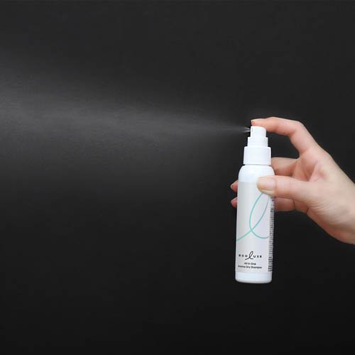 エコリュクス オールインワン アロマ ドライシャンプー(100ml)【エコリュクス(ecoluxe)】