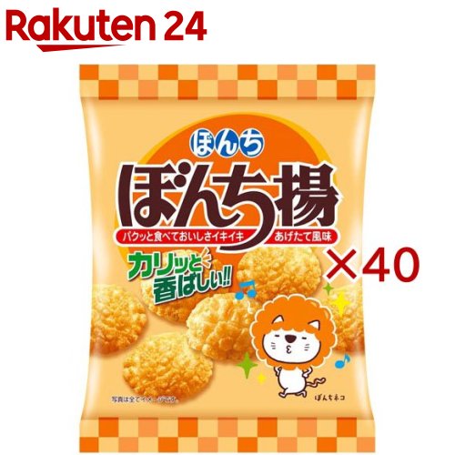 ぼんち揚(60g×40セット)