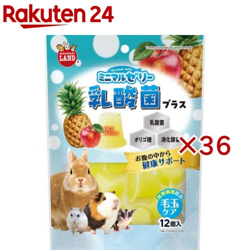 ミニマルゼリー 乳酸菌つけ加える(12個入×36仕掛ける(1個15g))【ミニマルランド】