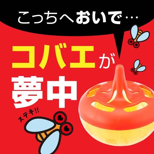 楽天市場 コバエがホイホイ 2個入 3箱セット コバエがホイホイ 楽天24