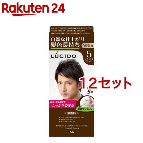 ルシード ワンプッシュケアカラー 5 ナチュラルブラウン(50g+50g*12セット)【ルシード(LUCIDO)】|24