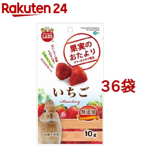 果実のおたより いちご 10g 36コセット リアル