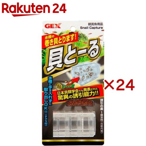 貝とーる(24セット)｜24