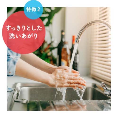 ハンドソープ キッチンミューズ ミューズ キッチンミューズ 本体 ハンドソープ キッチンミューズ 本体 250ml ボディケア 1コセット ミューズ ハンドソープ 楽天24