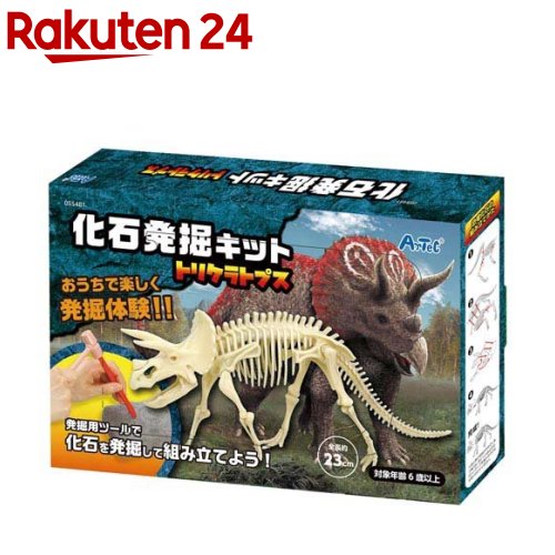 古生物/化石セット 古生物/化石セット - メルカリ