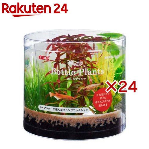 癒し水景 ボトルプランツ ロタラ(24セット)【癒し水景】｜24 11,048円