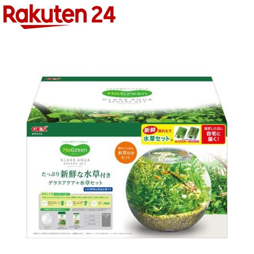MeGreen 新鮮な水草付き グラスアクアスフィアセット(1個)