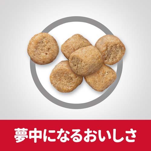キャットフード 猫用品 サイエンスダイエット 14歳以上 シニア 高齢猫用 サイエンス ダイエット 14歳以上 チキン キャットフード サプリメント サイエンスダイエット サイエンス ダイエット シニア 高齢猫用 チキン 800g 12袋セット 楽天24 キャットフード 猫用品 サイエンスダイエット 14歳以上 シニア 高齢猫用 サイエンス ダイエット 14歳以上 チキン キャットフード サプリメント サイエンスダイエット サイエンス ダイエット シニア 高齢猫用 チキン 800g 12袋セット 楽天24