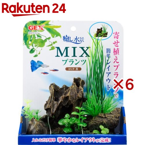 癒し水景 MIXプランツ ロック 茶(6セット)【癒し水景】
