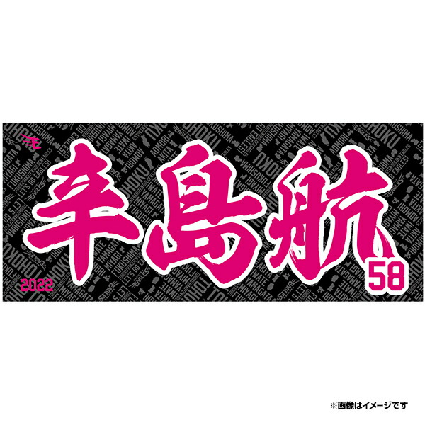 保障できる】 東北ゴールデンイーグルス＃58辛島航選手缶バッジ